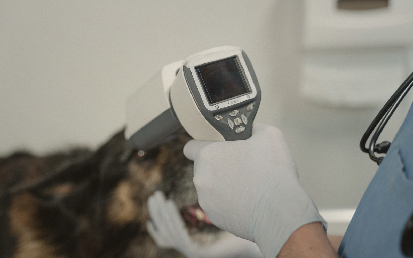 X-Ray and Ultrasound, Compared